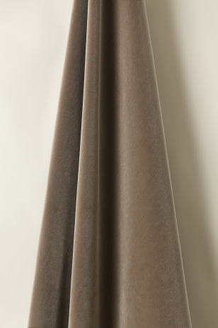 Cotton Velvet in Bear Cotton Velvet in Bear